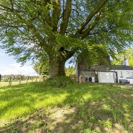 Wilsons Cottage Falkirk Exterior photo