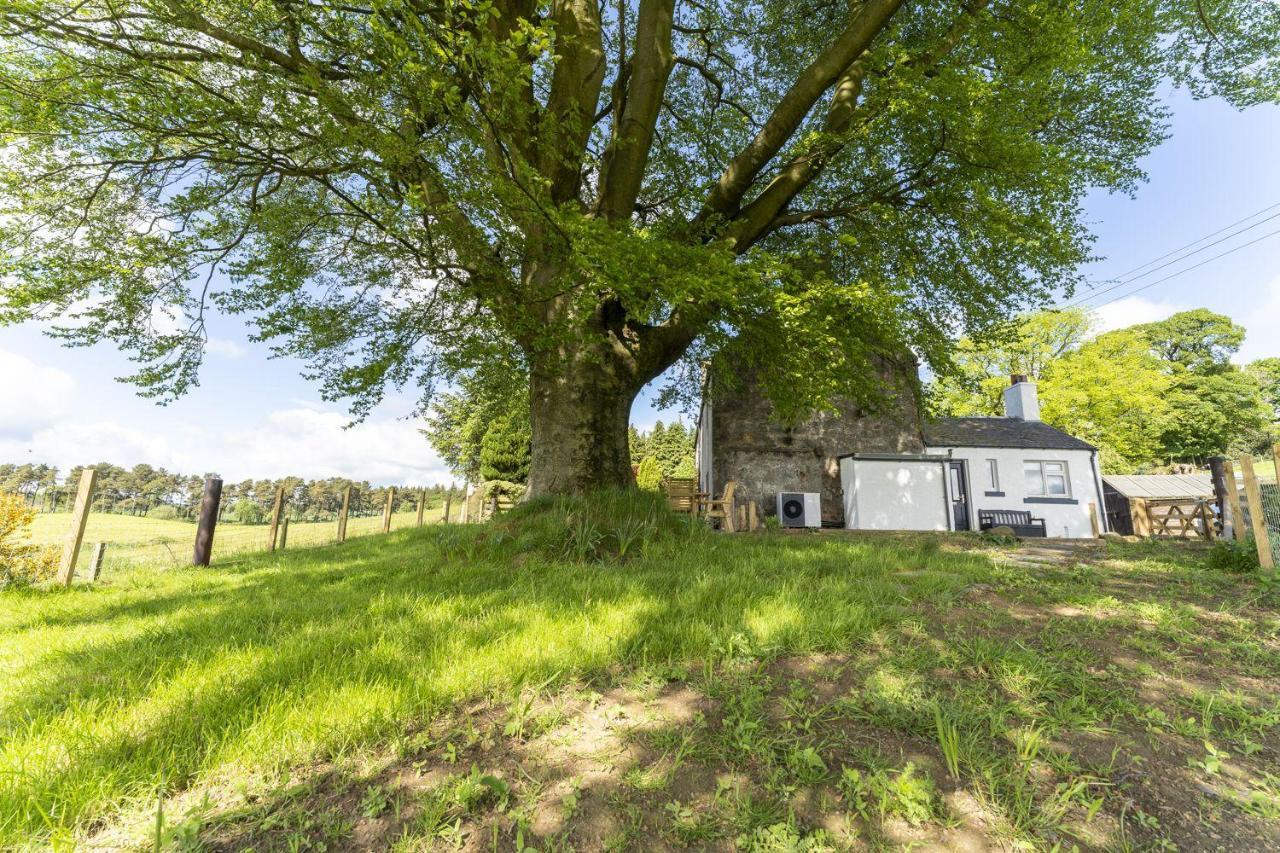 Wilsons Holiday home